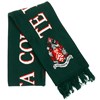 NEW Scarf - bottle/red